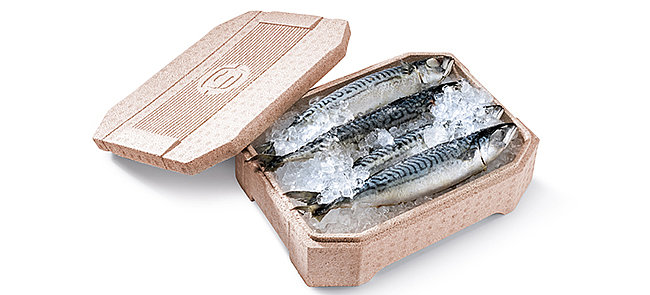 Eine braune Isolierbox aus Biokunststoff mit frischem Fisch und Eis